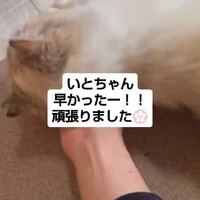 画像877