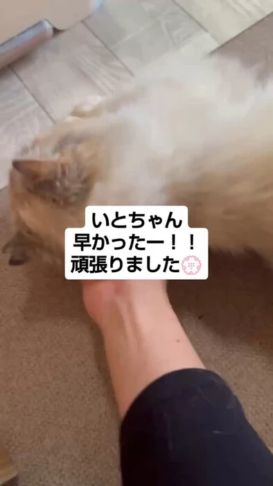 画像877