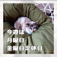 画像879
