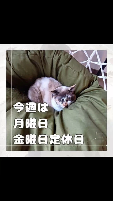 画像879