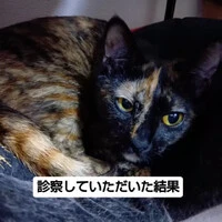 画像881