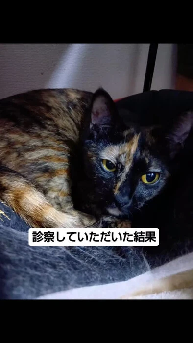 画像881