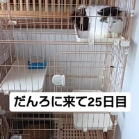 画像883