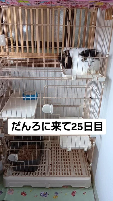 画像883
