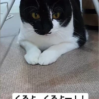 画像885