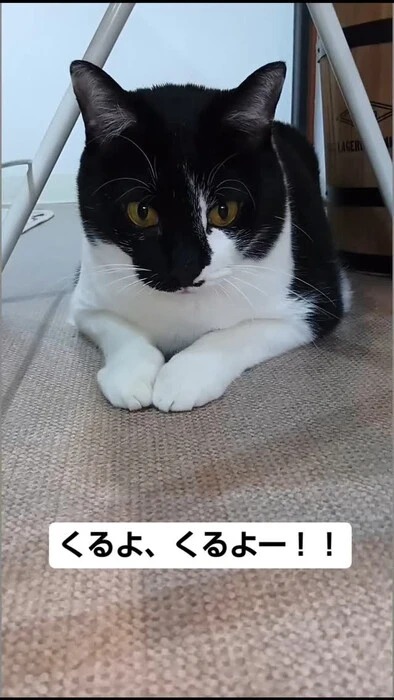 画像885