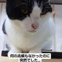 画像887
