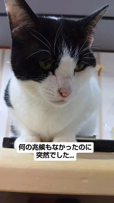 画像887