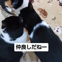 画像889