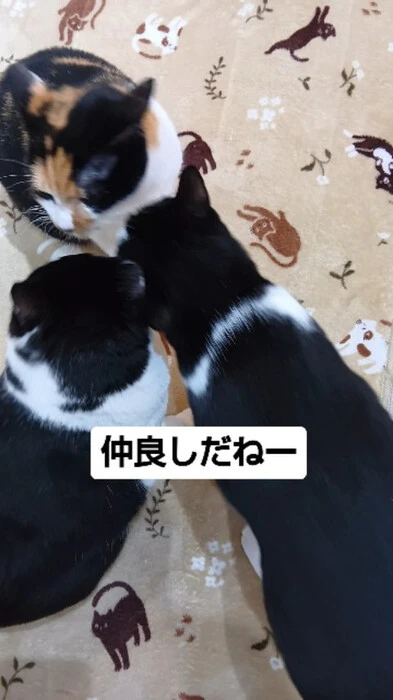 画像889