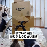 画像891