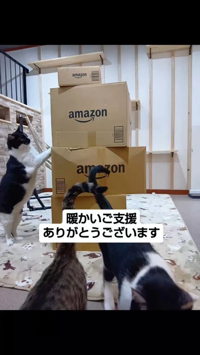 画像891