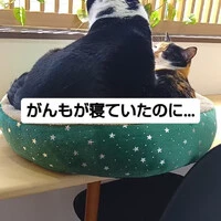 画像893