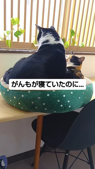画像893