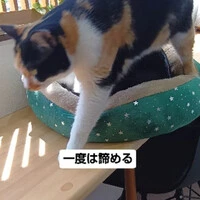 画像895
