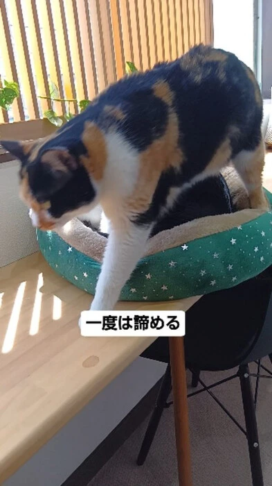 画像895