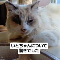 画像897