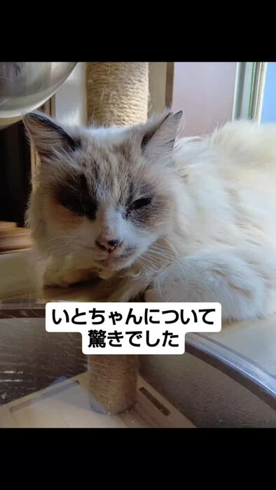 画像897