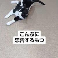 画像899