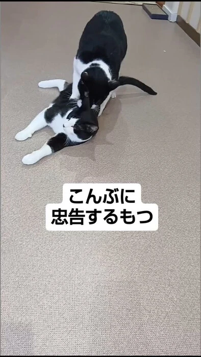画像899