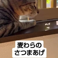 画像901