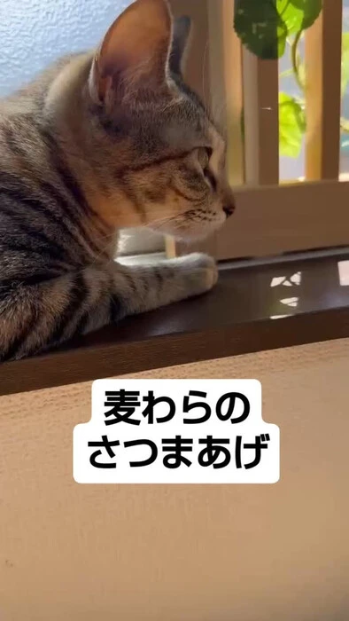 画像901