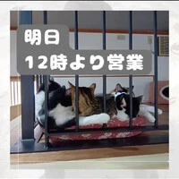 画像903