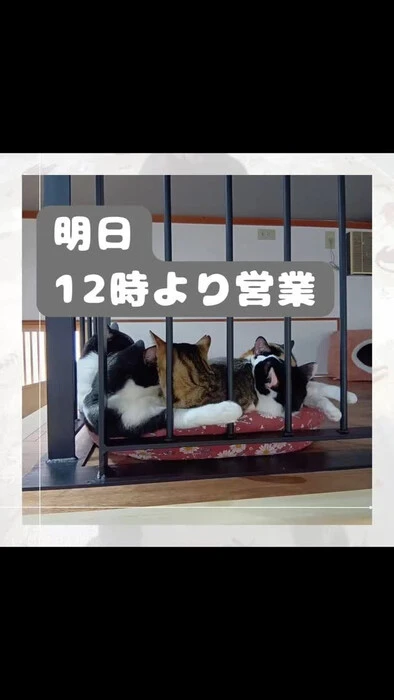 画像903