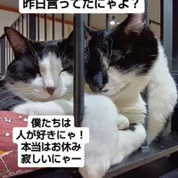 画像905