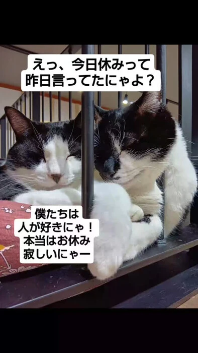 画像905