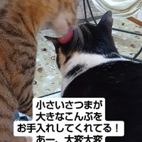 画像907