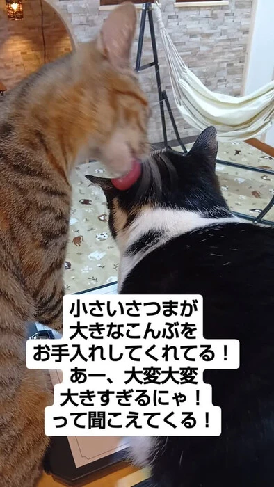 画像907