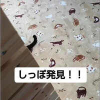 画像911