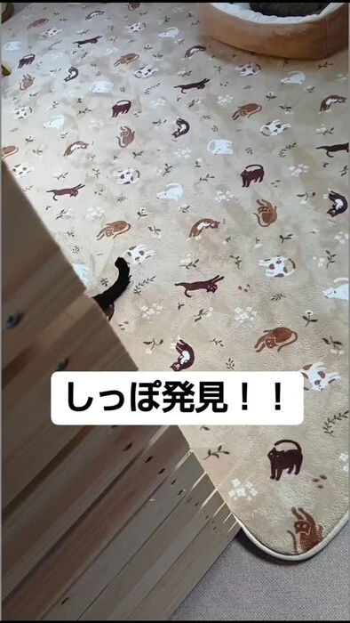 画像911