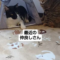 画像913