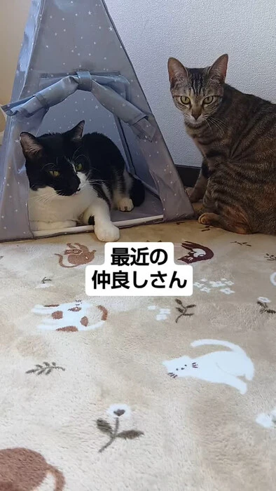 画像913