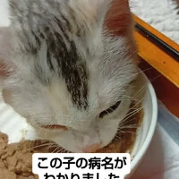 画像919