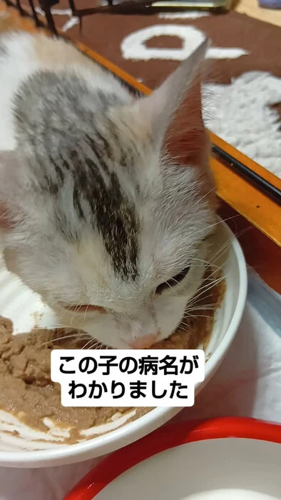 画像919