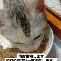 画像921