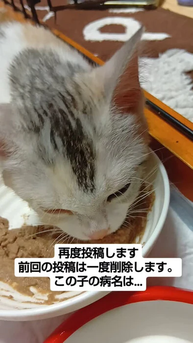 画像921