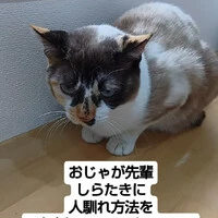 画像925