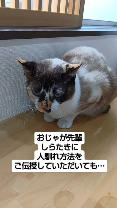 画像925