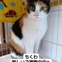 画像929