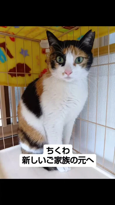 画像929