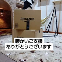 画像931