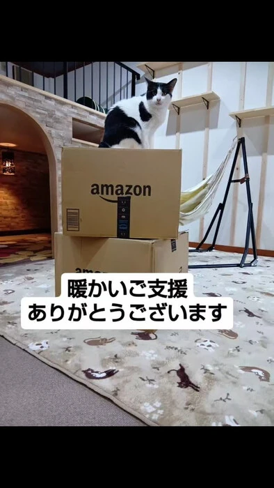 画像931