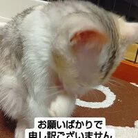 画像933