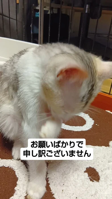 画像933
