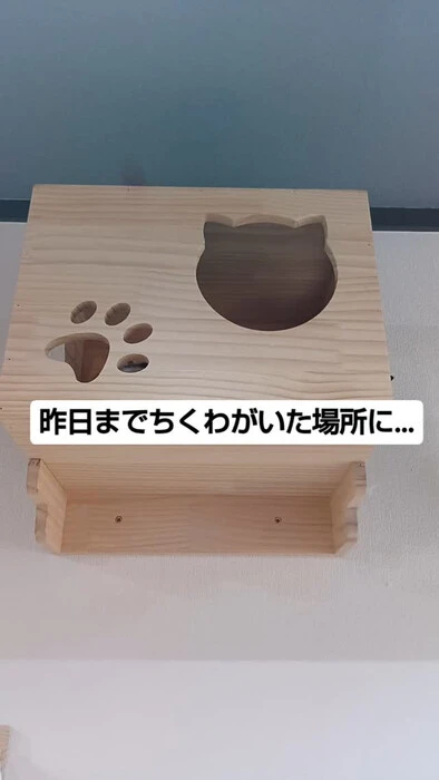 画像935