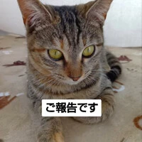 画像937